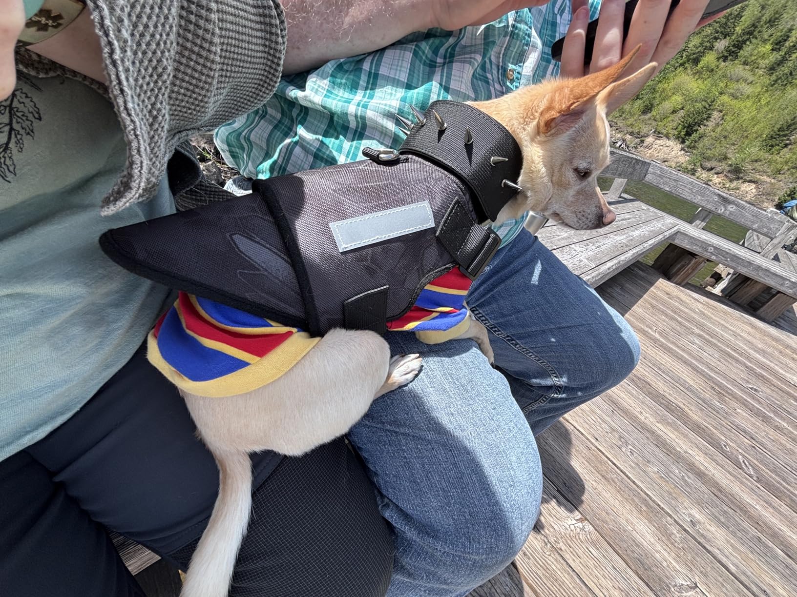 Dog Protection Vest Harness Built-in Bendable Lightweight Steel Plate Against Attacks by Coyote, Hawk, Raptor, and Birds of Prey customer photo 1