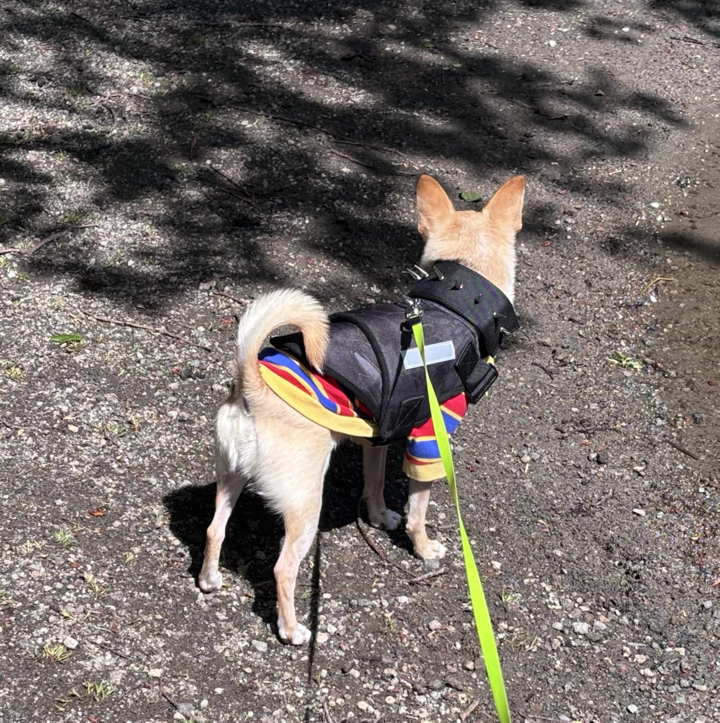Dog Protection Vest Harness Built-in Bendable Lightweight Steel Plate Against Attacks by Coyote, Hawk, Raptor, and Birds of Prey customer photo 2
