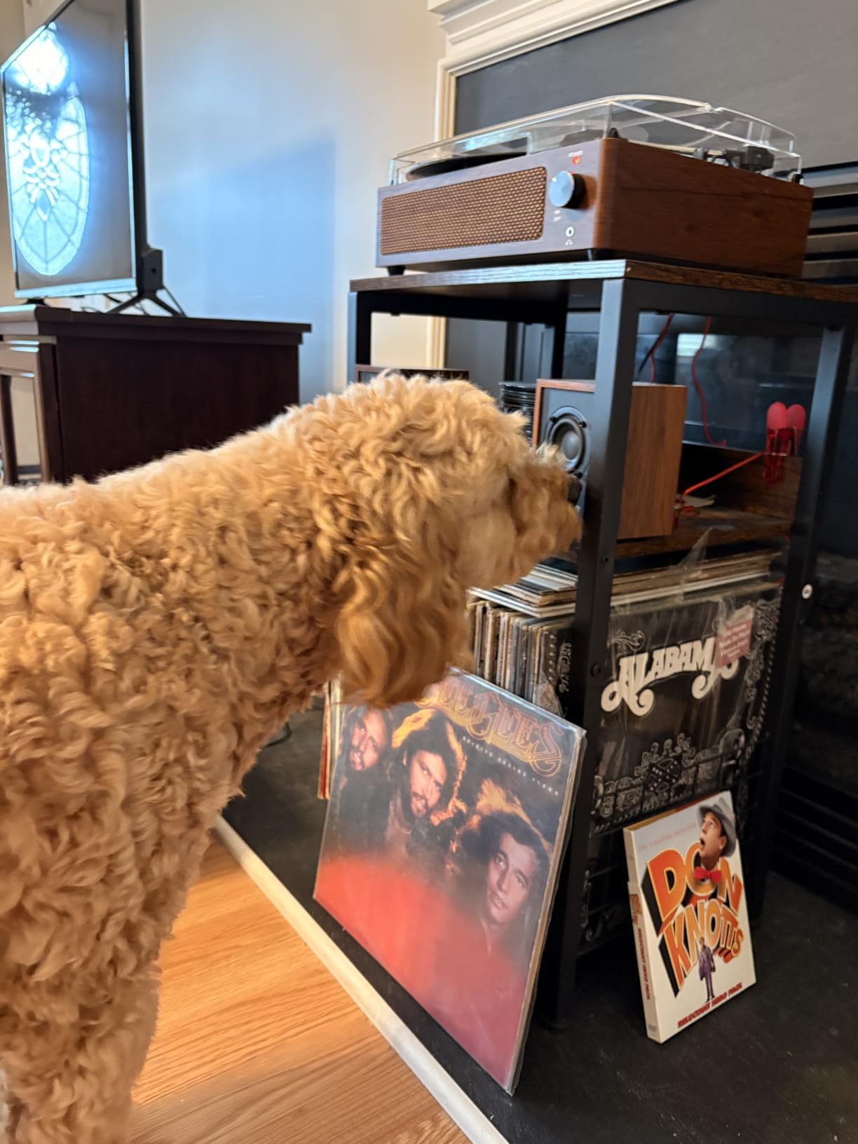 LELELINKY 3 Tier End Table, Record Player Stand with Storage Up to 100 Albums, Turntable Stand for Vinyl, Brown Records Shelf for Living Room Bedroom customer photo 1