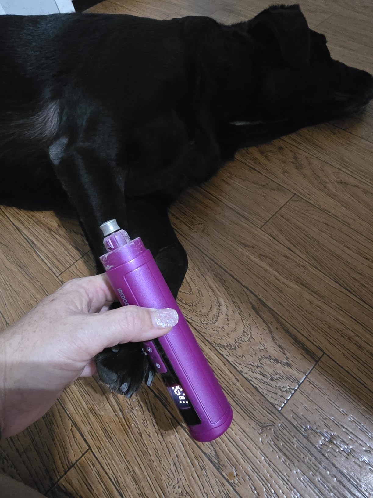 IREDOON Dog Nail Grinder Upgraded - Professional 3-Speed Super Quiet and Low Vibration Electric Pet Nail Grinder with 4 LED Lights - Painless Paws Grooming & Smoothing for Small to Large Dogs (Black) customer photo 1