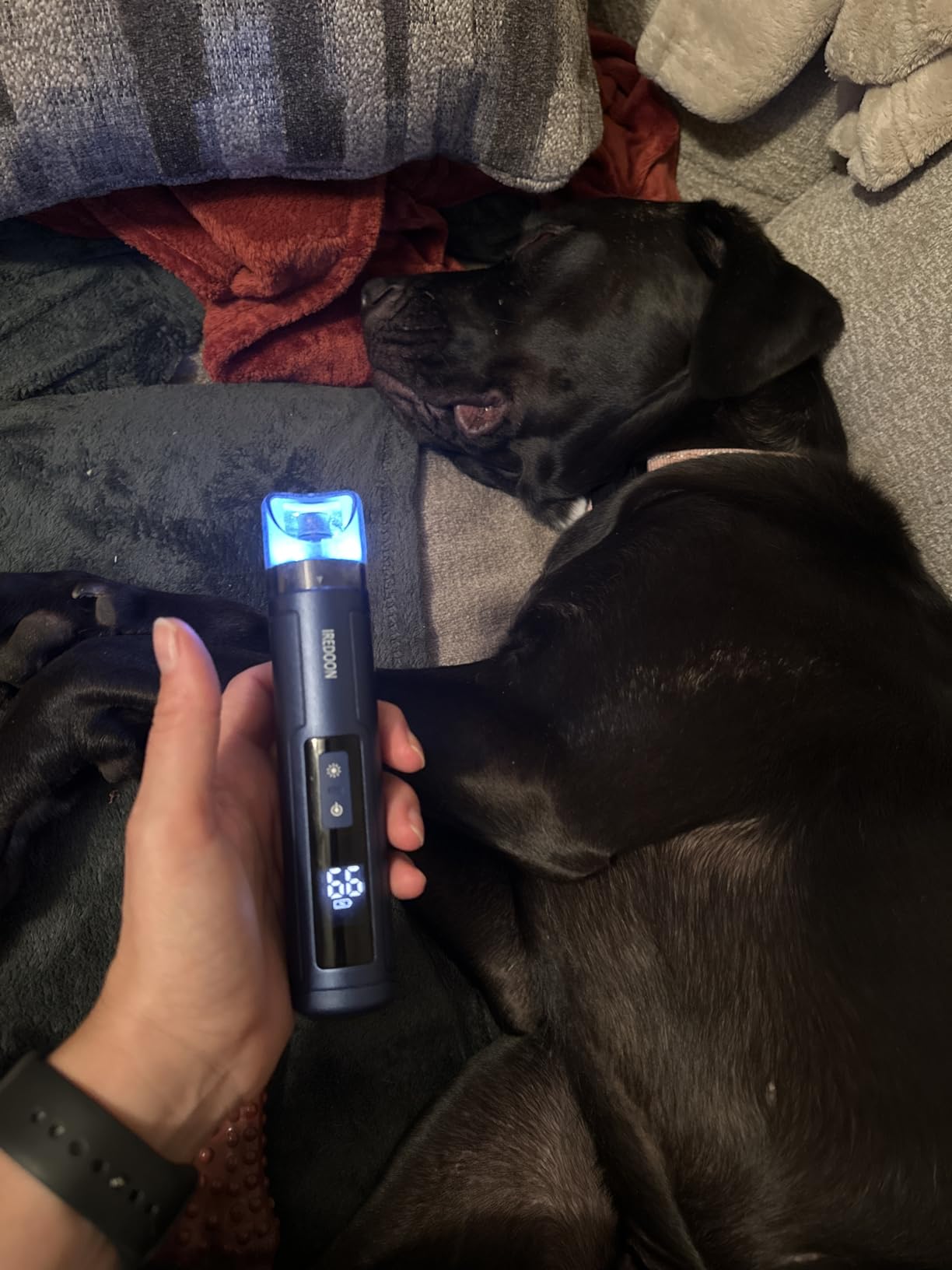 IREDOON Dog Nail Grinder Upgraded - Professional 3-Speed Super Quiet and Low Vibration Electric Pet Nail Grinder with 4 LED Lights - Painless Paws Grooming & Smoothing for Small to Large Dogs (Black) customer photo 2