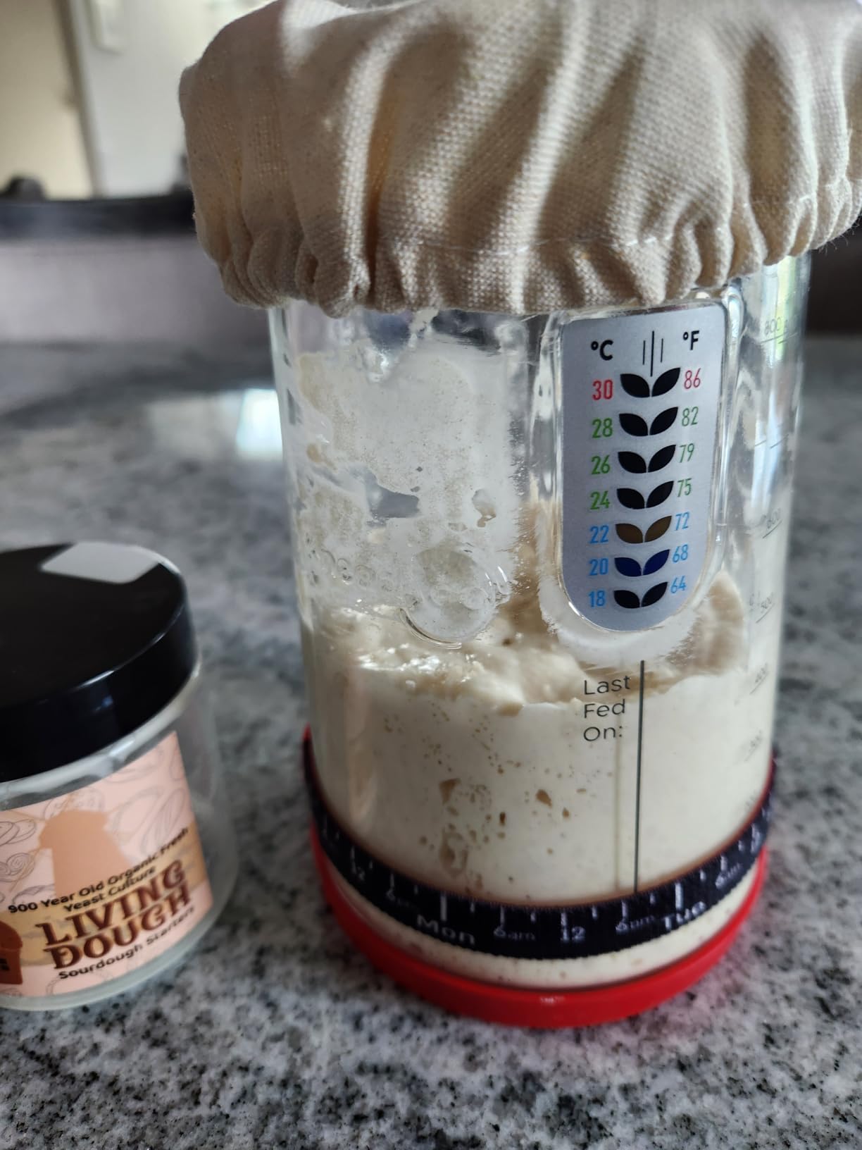 KNEADACE Pro Sourdough Bread Starter Kit - 34 oz Large Capacity Sourdough Starter Jar with 5 unique features for the perfect sour dough bread & sourdough starter kit - sourdough supplies (KA06) customer photo 1