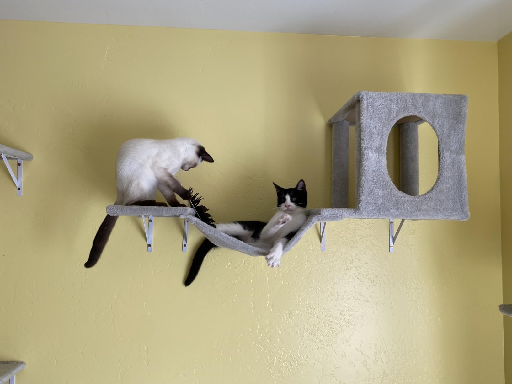NUNU LAB Cat Wall Shelves, 6 Pcs Luxury Wall-Mounted Cat Climber Set, Dark Gray customer photo 2