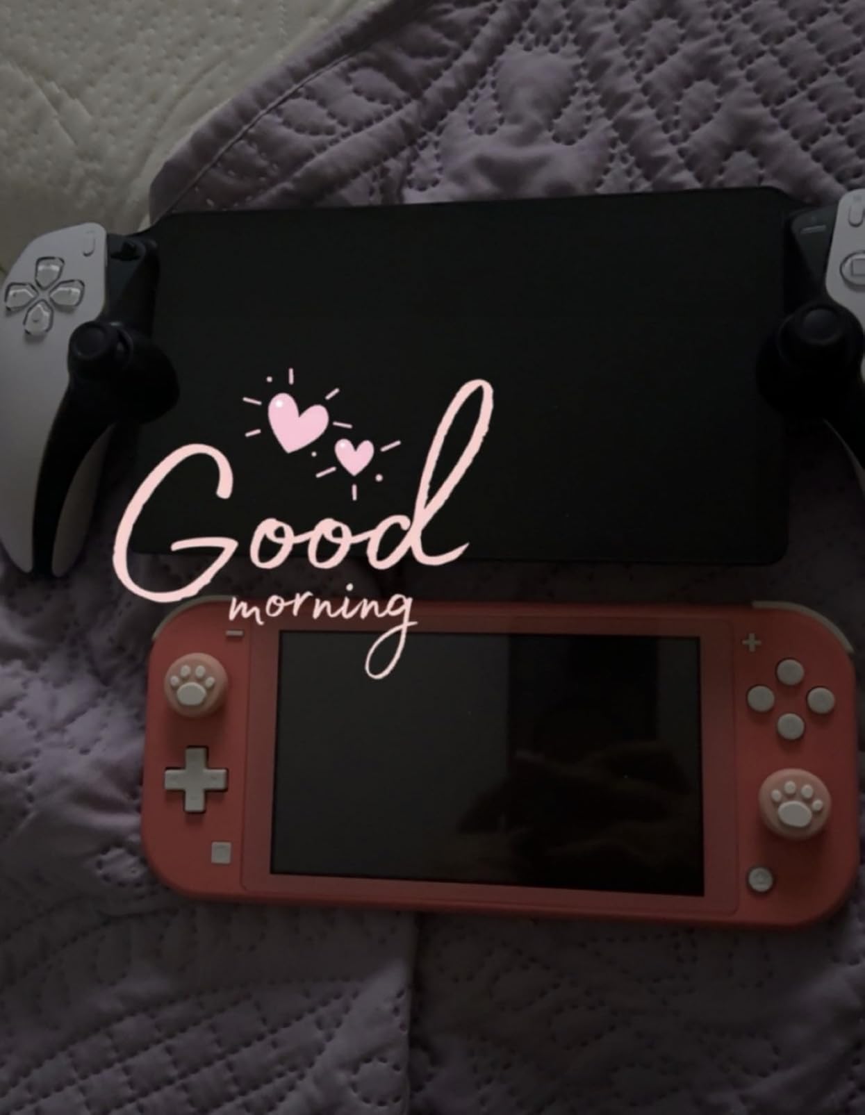 PlayStation Portal Remote Player customer photo 1