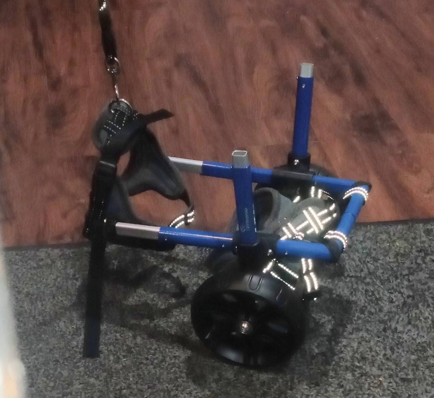 Dog Wheelchair for Back Legs with Upgraded All-Terrain Tires & Durable Bearings, Adjustable Dog Wheelchair for 11.8