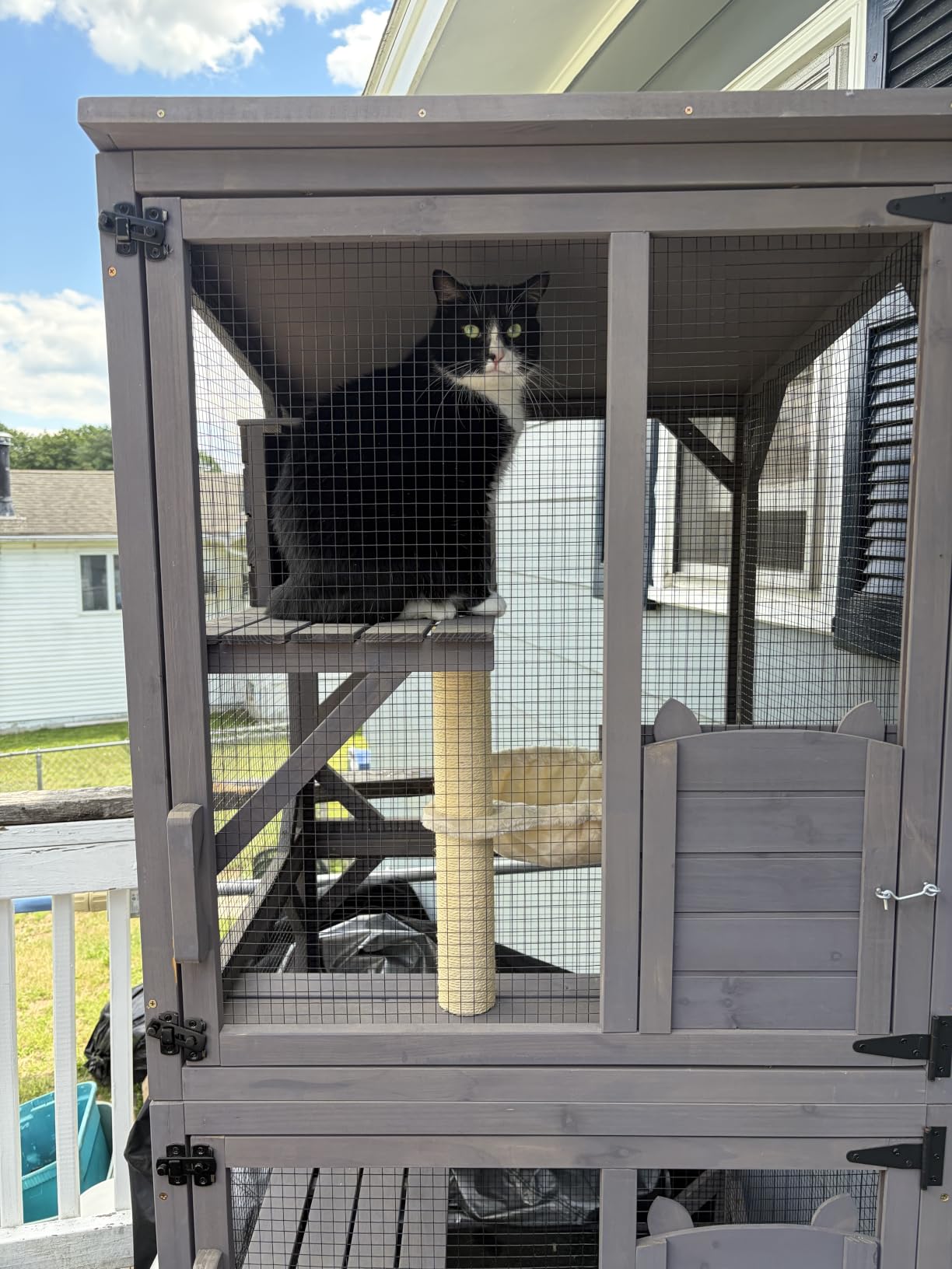 Aivituvin Catio Outdoor Cat Enclosure with 7 Platforms, 2 Resting Boxes, Large Window Cat House for 4-6 Multiple Cats Walk in Kitty Cage with Weatherproof Tarp Roof 70