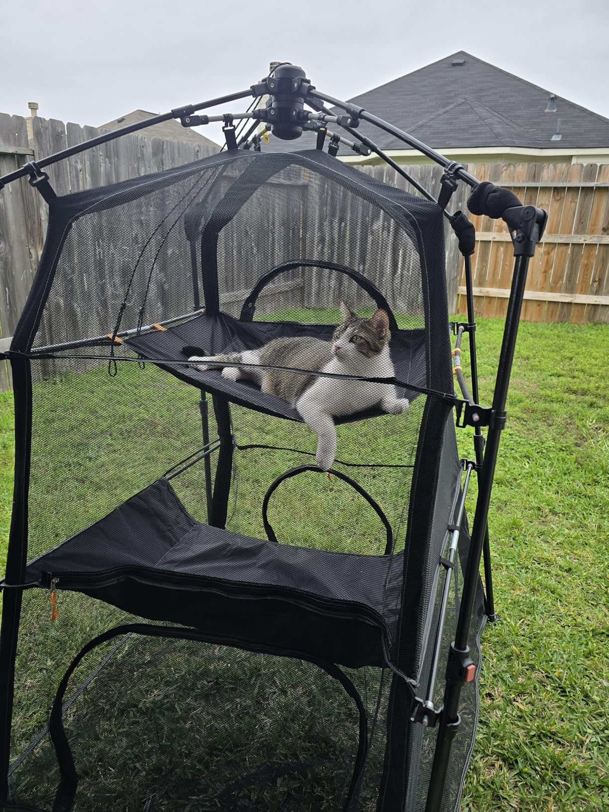Extra Large Catio Outdoor Cat Enclosure, Rywell 3-Tier Spacious Outdoor Cat Tent, Weatherproof&Sunproof with 5 Windows, Foldable Cat Enclosure for Patio, Camping, Indoor(Includes Carry Bag) customer photo 2