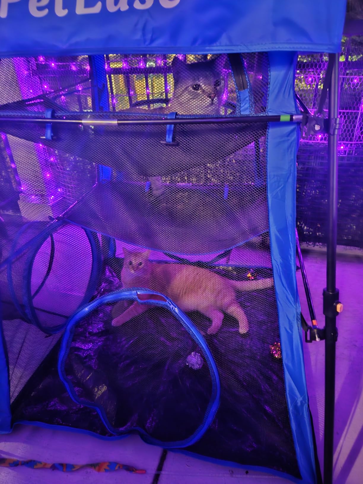 Catio Outdoor Cat Enclosure, 3-in-1 Extra Large Portable Cat Playpen with Tower Tent & Tunnel, Foldable Waterproof Mesh Catio for Indoor Outdoor Cats & Small Pets customer photo 1