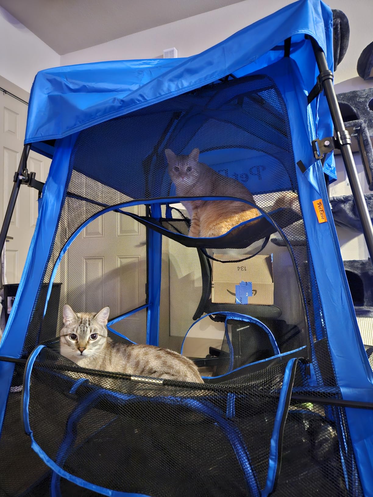 Catio Outdoor Cat Enclosure, 3-in-1 Extra Large Portable Cat Playpen with Tower Tent & Tunnel, Foldable Waterproof Mesh Catio for Indoor Outdoor Cats & Small Pets customer photo 2
