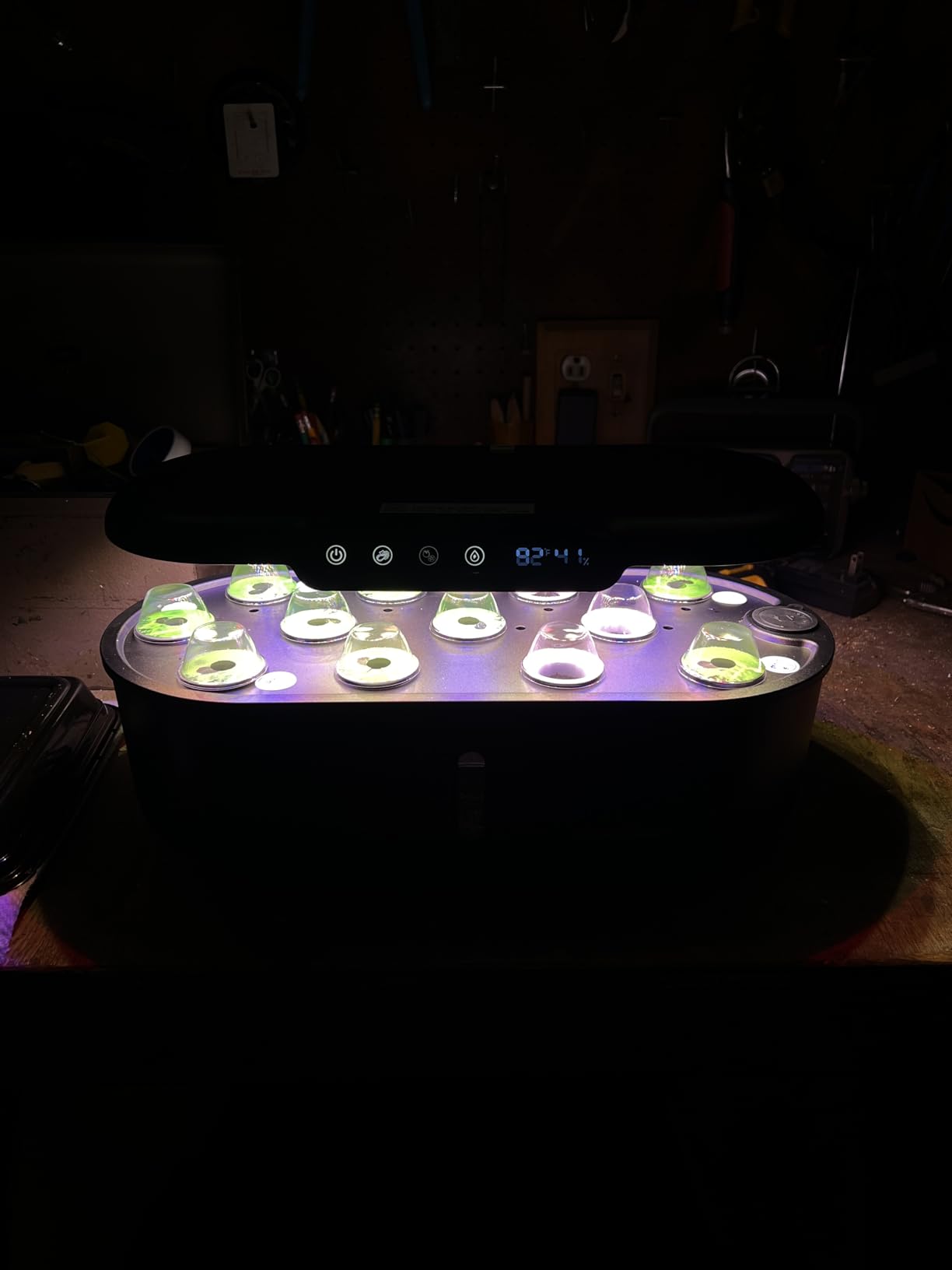 Ahopegarden Hydroponics Growing System kit: 12 Pods Indoor Herb Garden with Smart Environmental Detection - Full Spectrum LED Grow Light for Growing Vegetables,Herbs and Lettuce - Home Gardening customer photo 1