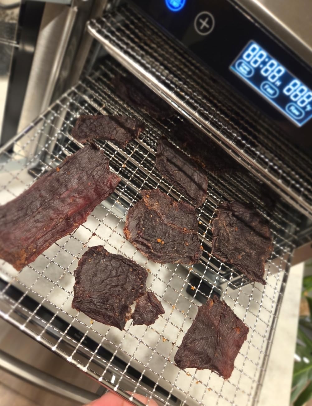 Magic Mill Pro Food Dehydrator Machine | 10 Stainless Steel Trays | Dryer for Jerky, Dog Treats, Herb, Meat, Beef, Fruit | Keep Warm Function, Digital Timer and Temperature Control, ETL Approved customer photo 1