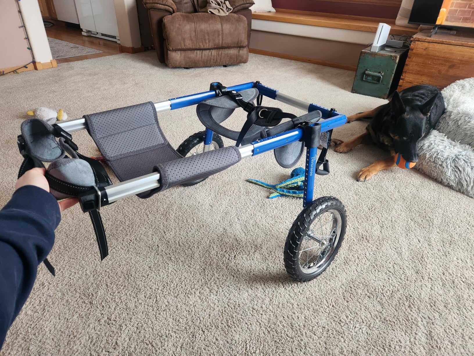 Dog Wheelchair for Back Legs, Dog Wheelchair with All-Terrain Tires & Durable Bearings, Large Dog Wheelchair for Back Legs, 88.1-132.2 lbs (XXL) customer photo 2