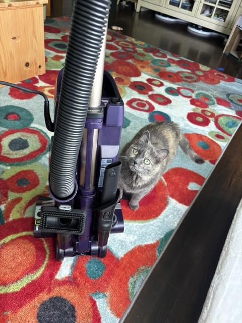 POWERDETECT Upright Vacuum Cleaner with HEPA Filter, Heavy Duty Vacuum with Powerful Suction for Pet Hair Pickup, DuoClean Technology, Powered Lift-Away, Ideal for Carpets & Hardfloors, AZ4002 customer photo 2