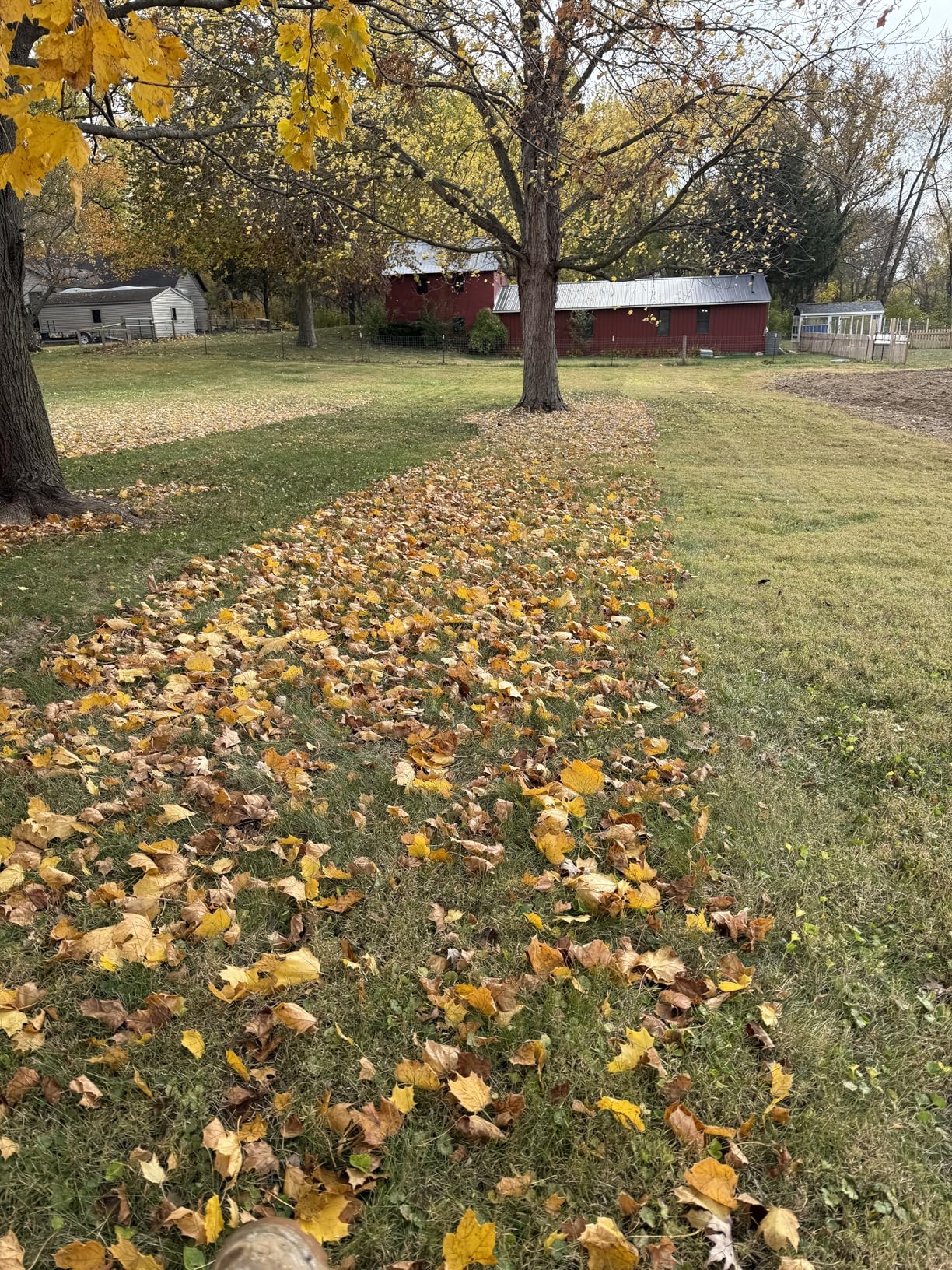 Agri-Fab Soft Top Mow-N-Vac Tow Behind Lawn Vacuum, 29 Cu Ft Leaf and Grass Collection System with 208cc Engine customer photo 1