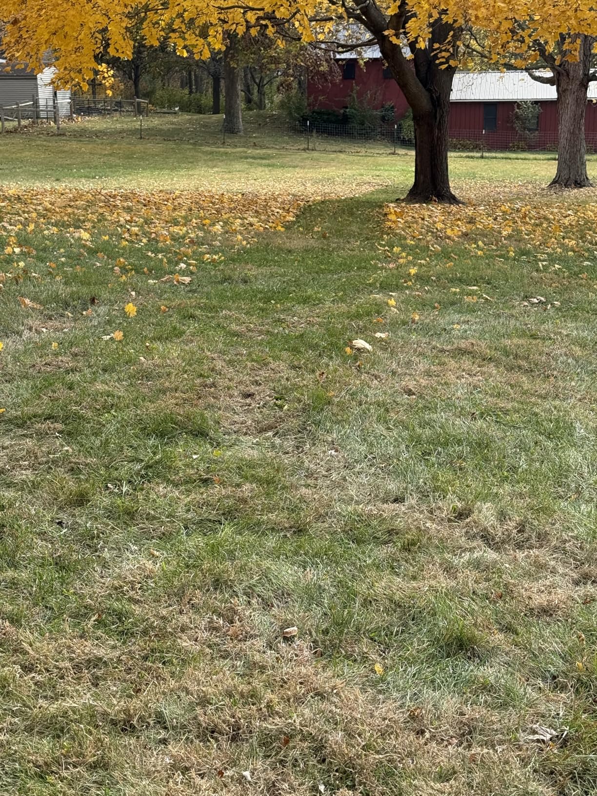 Agri-Fab Soft Top Mow-N-Vac Tow Behind Lawn Vacuum, 29 Cu Ft Leaf and Grass Collection System with 208cc Engine customer photo 2