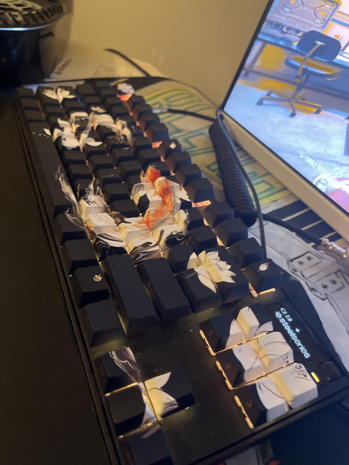 SteelSeries Apex Pro TKL Gen 3 OmniPoint 3.0 HyperMagnetic Switches - Adjustable Actuation - Rapid Trigger - Game-Ready Presets - Protection Mode - Rapid Tap/SOCD - OLED - RGB - PBT Keycaps - USB-C customer photo 2