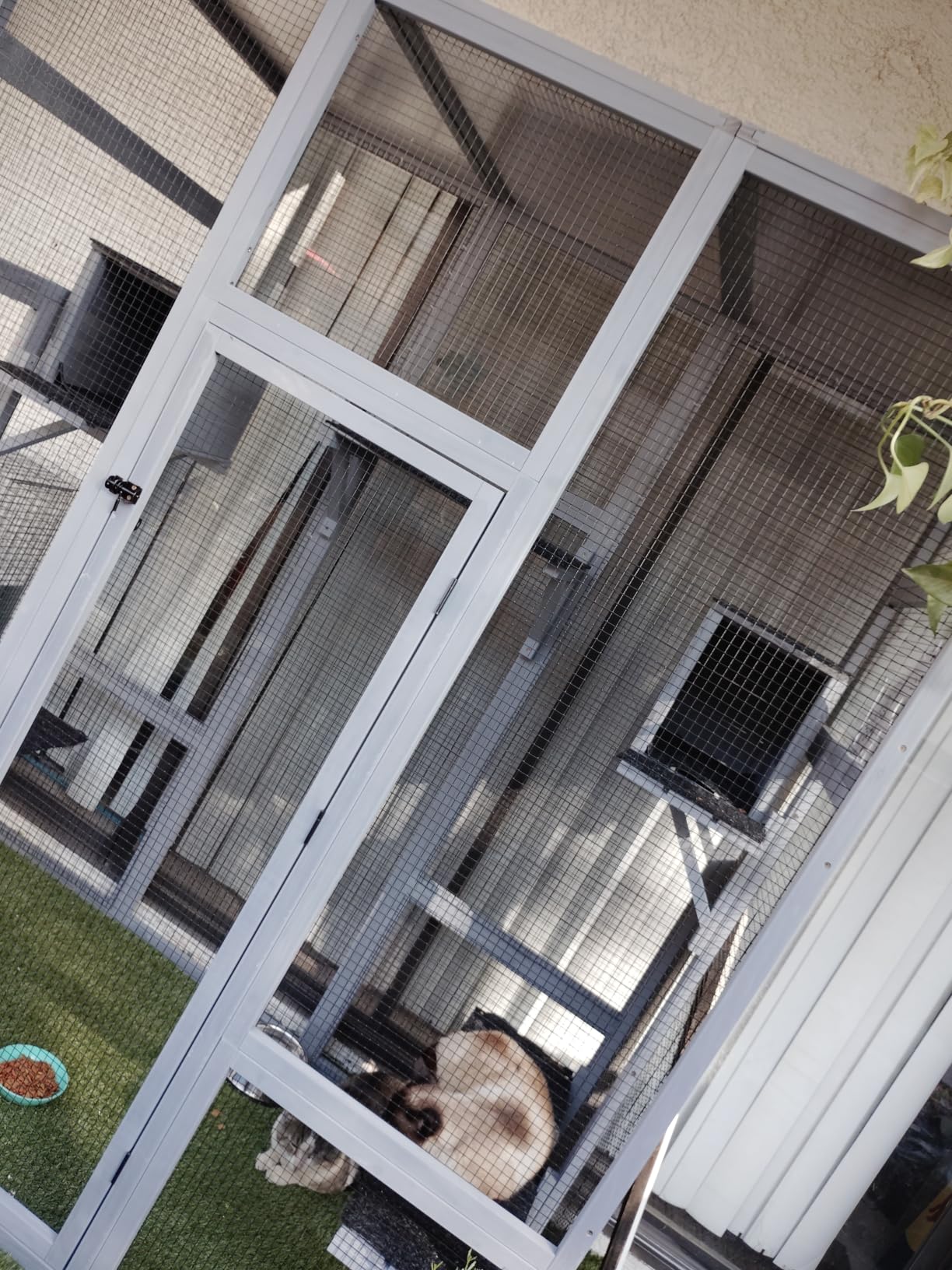 NYEEKOY 71Inches Large Wood Catio Outdoor Cat Enclosure with Perches and Condos, Cat House Indoor with Waterproof Roof, Cat Shelter 5 Platforms & 2 Resting Box, UV Resistant (Grey) customer photo 1