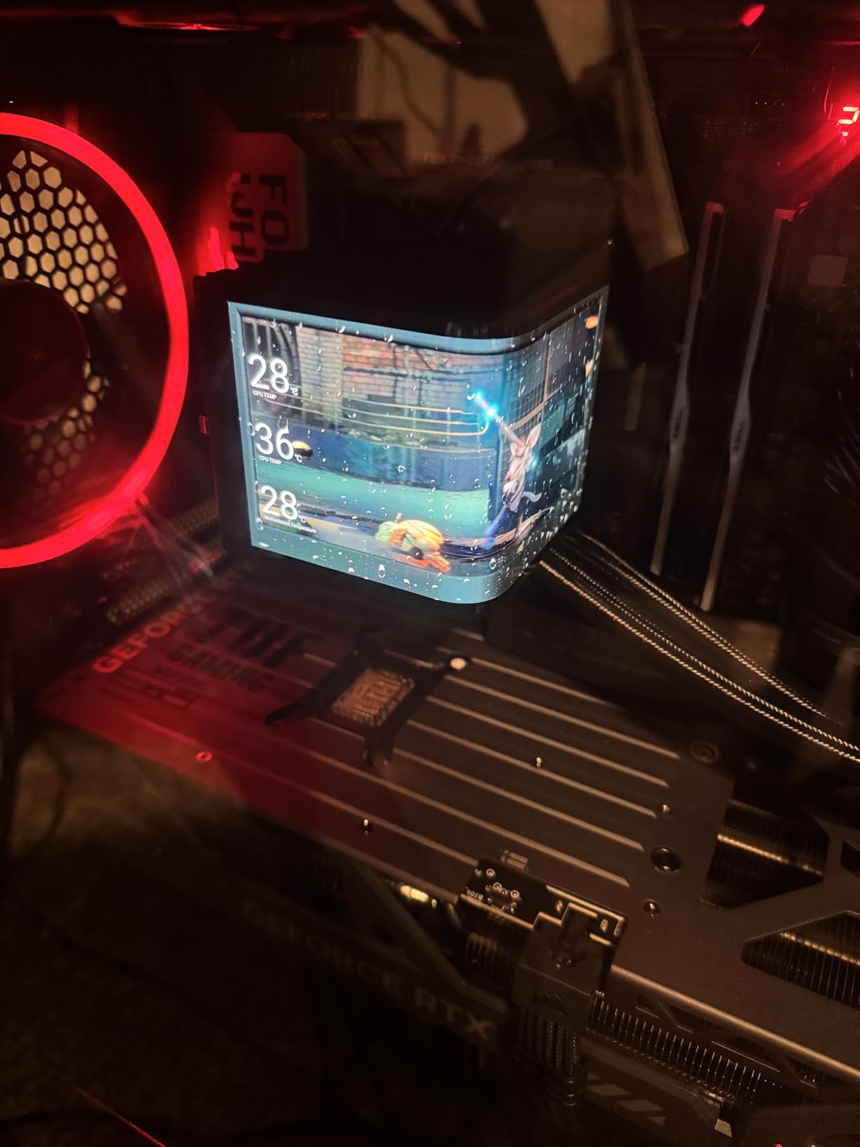 ASUS TUF Gaming GeForce RTX 5080 16GB GDDR7 OC Edition Graphics Card customer photo 1