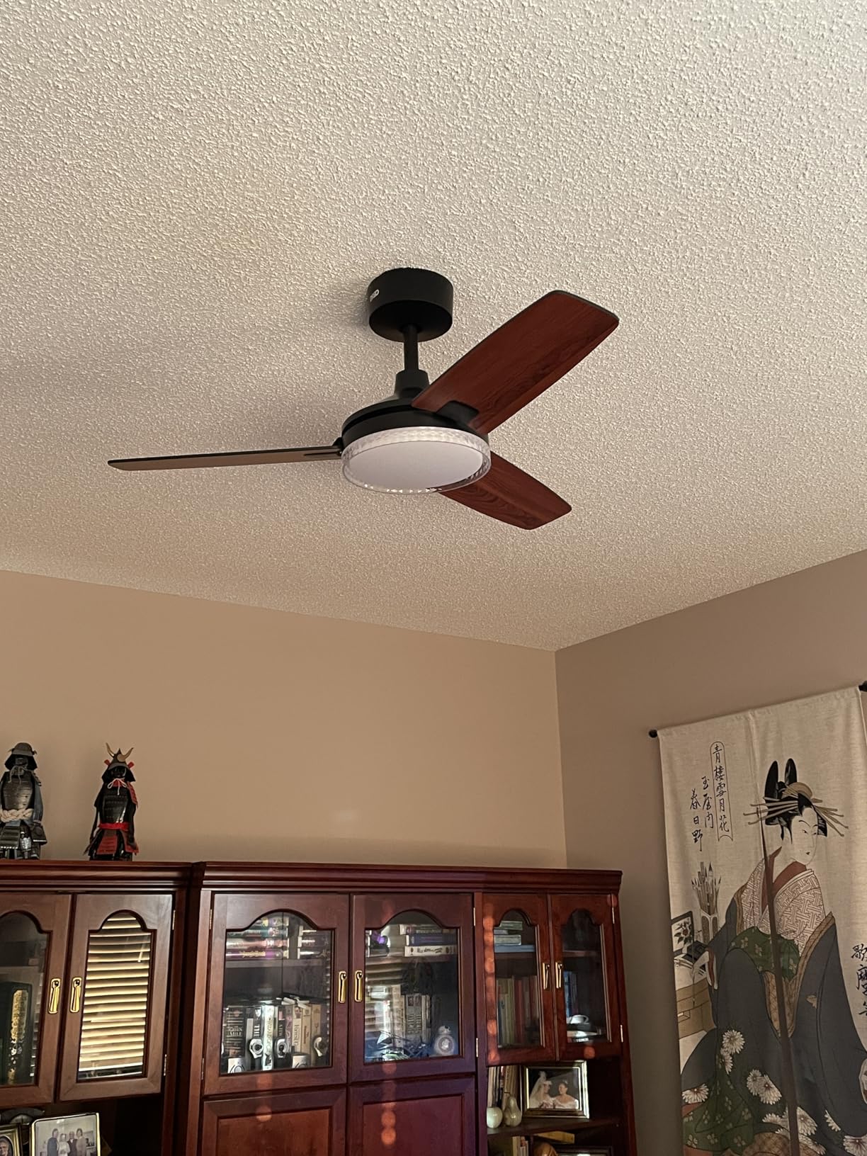 DREO Smart Ceiling Fans with Lights, 42 Inch Black Ceiling Fan, 12 Speeds & 3 Fan Modes, Stepless Color Tones, Dimmable LED Light, 1-12H Timer, Quiet DC Motor, Remote/APP/Alexa/Wall Switch Control customer photo 1