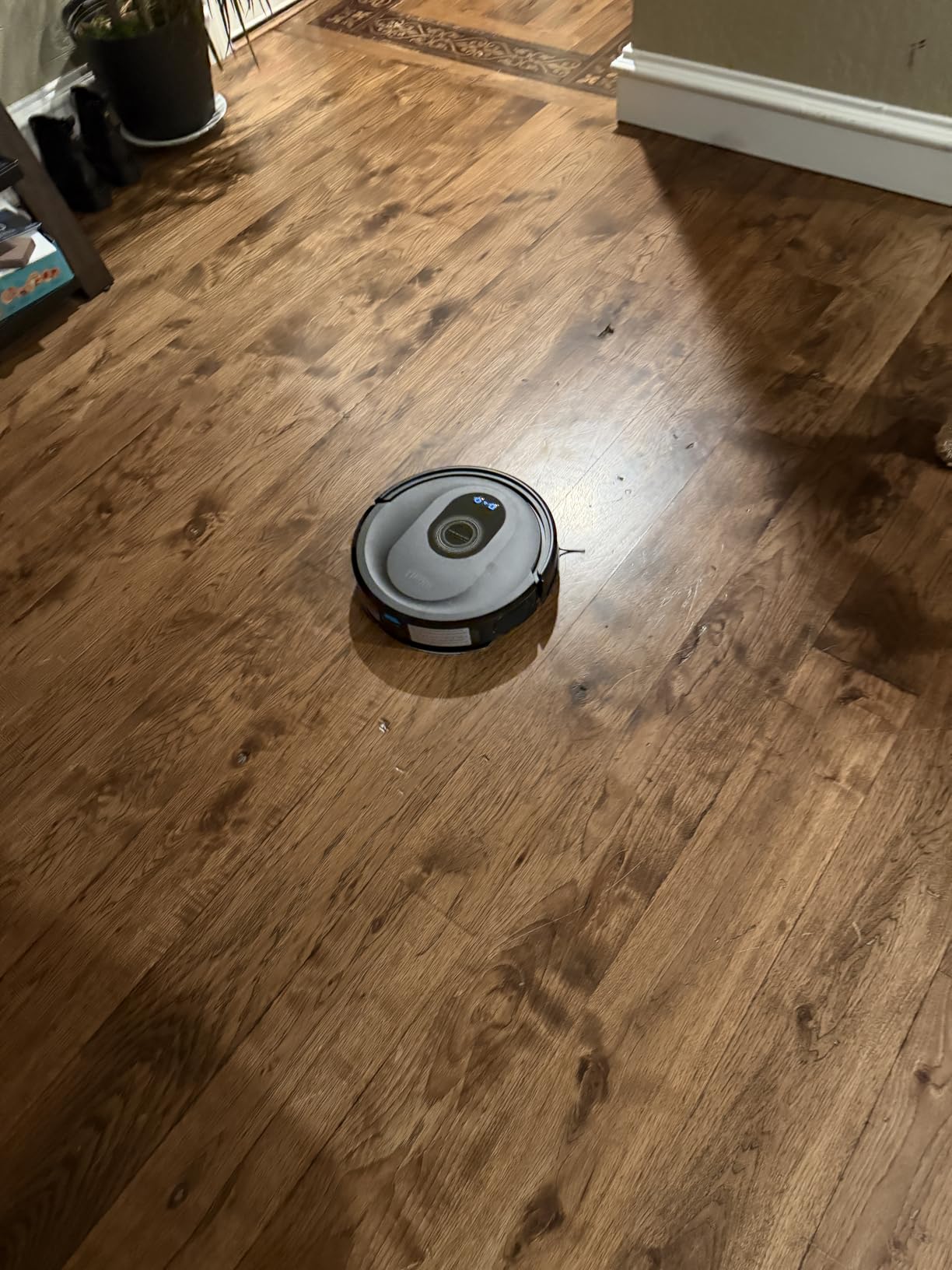 Tikom Robot Vacuum and Mop Combo, 5000Pa Robotic Vacuum Cleaner, 150 Min Max, App & Remote Control, Ideal for Hard Floor, Carpet, Pet Hair, Self-Charge(G8000 Max) customer photo 2