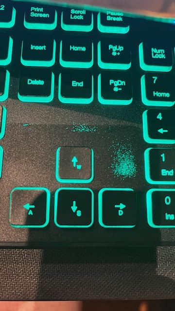 TECKNET Wired Keyboard, Silent Typing, Full-Size Layout, Black customer photo 1