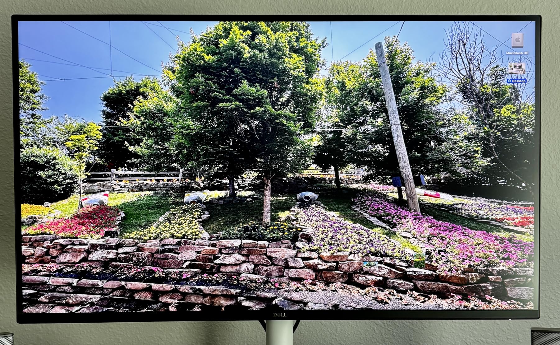 Dell 27 Plus 4K Monitor - S2725QS - 27-inch 4K (3840 x 2160) 120Hz 16:9 Display, IPS Panel, AMD FreeSync Premium, sRGB 99%, Integrated Speakers, 1500:1 Contrast Ratio, Comfortview - Ash White customer photo 1