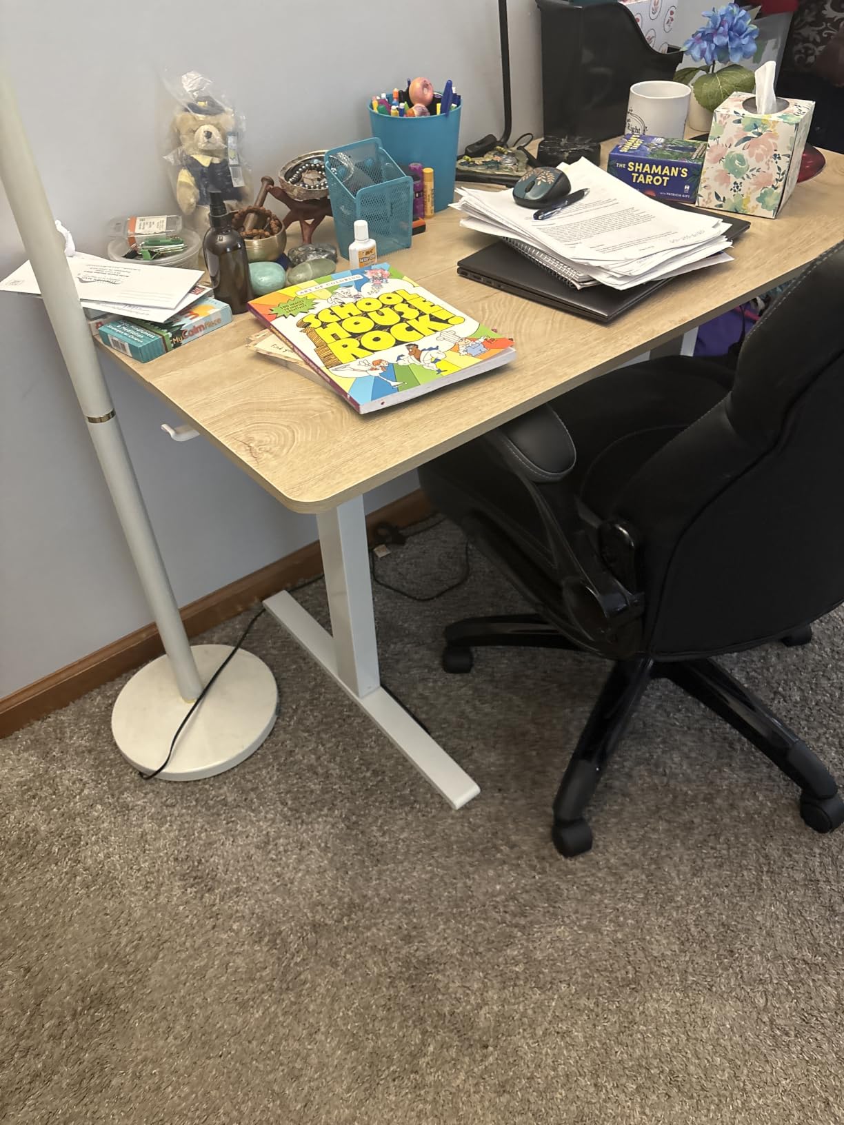 FEZIBO Standing Desk, 48 x 24 Inches Electric Height Adjustable, Sit and Stand Up, Computer Office Desk with Splice Board, White Frame/Maple TOP customer photo 2