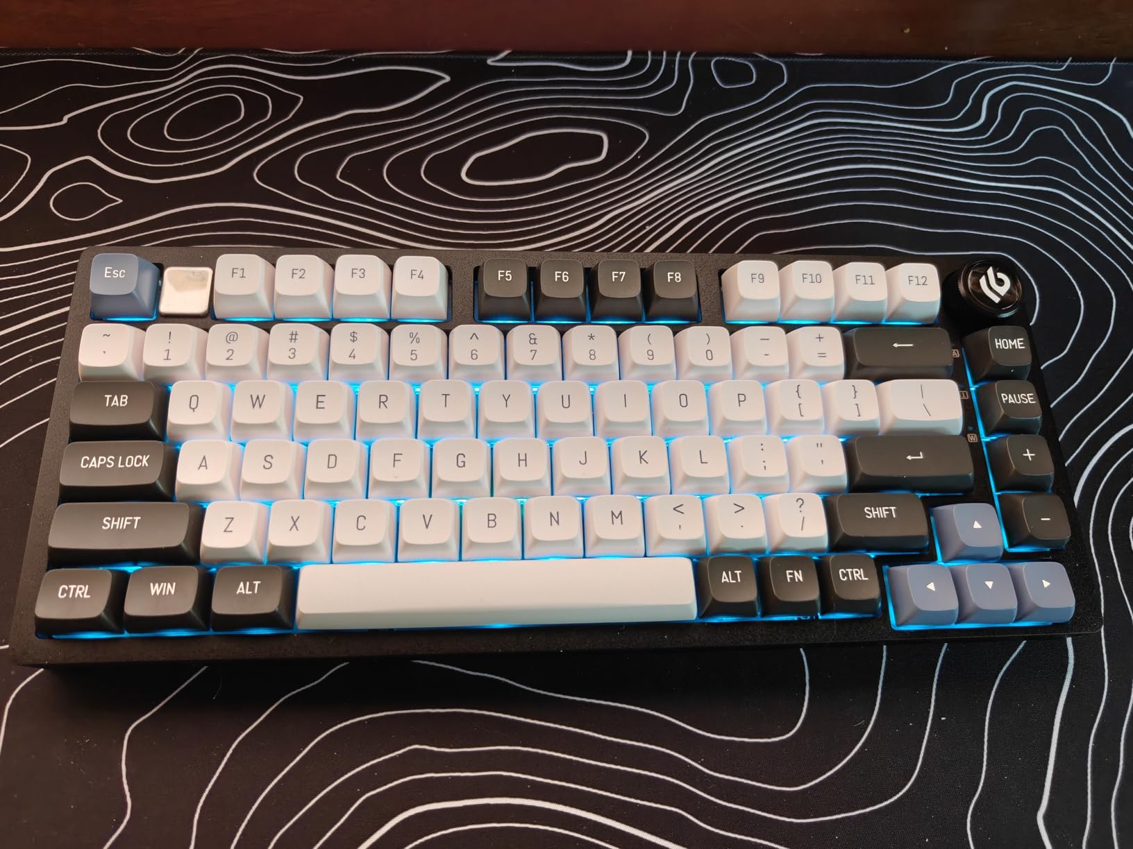 EPOMAKER Creamy Jade 45gf Gaming Keyboard Switches, 100 PCS Linear Switch, 5-Pin Pre-Lubed Switch, with PC/PA66 Case, POK Stem, Compatible with MX Keycaps for Mechanical Keyboard customer photo 1