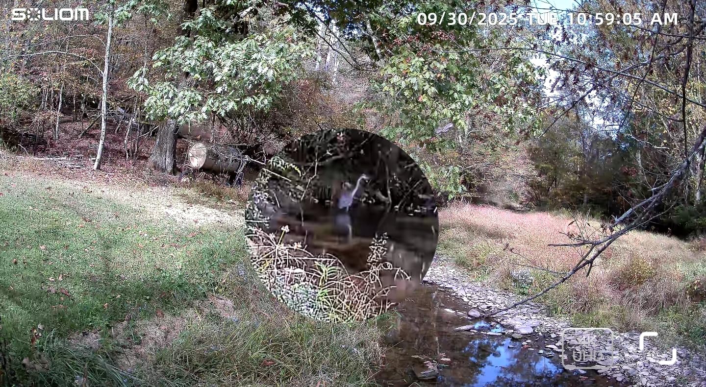 SOLIOM Security Cameras Wireless Outdoor, 4K Ultra HD for Day and Night, No Subscription, Built in Radar, Solar Powered Cameras for Home Security, 360 Pan Tilt Auto Tracking, 5G & 2.4G WiFi, 4-Cam Kit customer photo 1