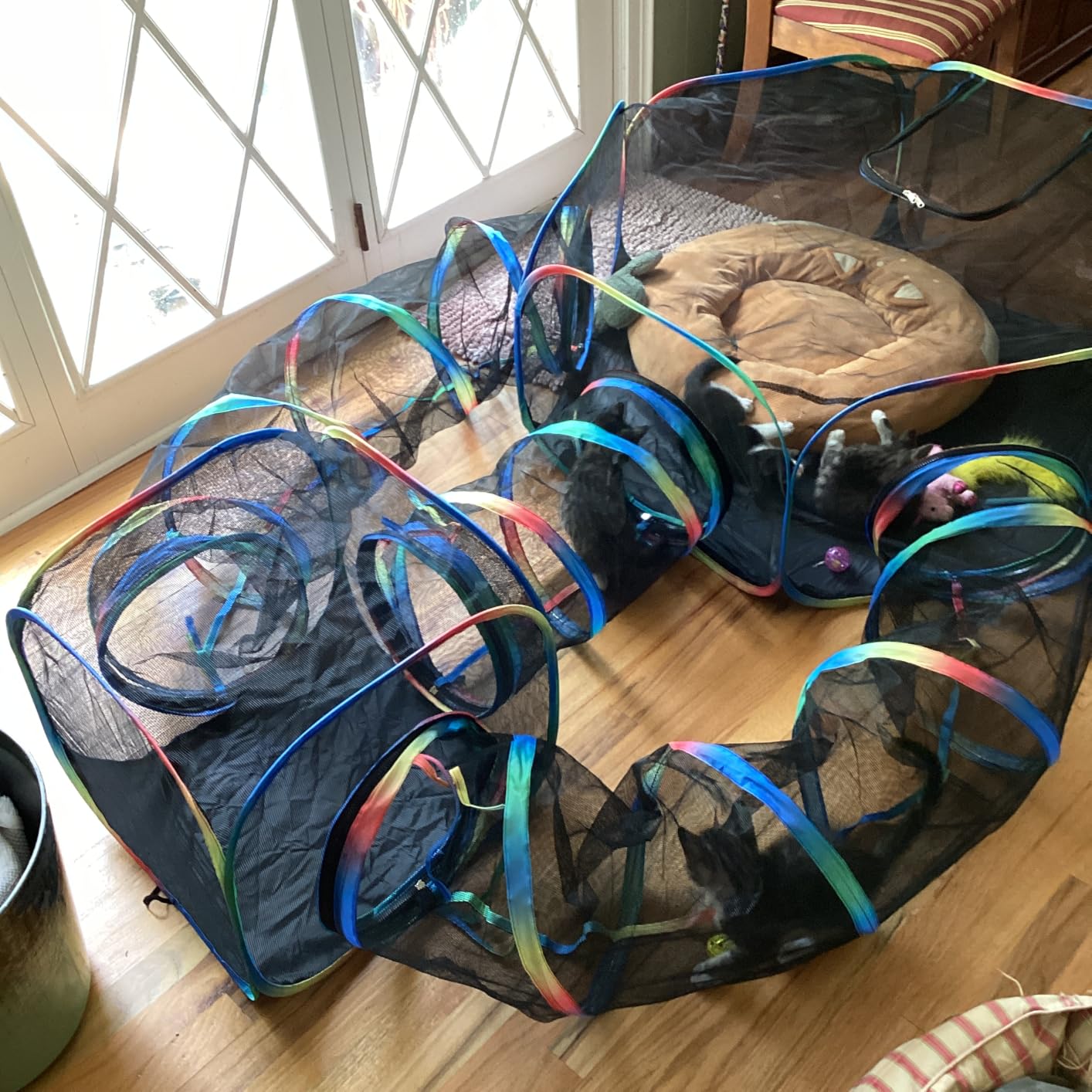 Outdoor Cat Enclosure - 5-in-1 Portable Cat Tunnels with Tent, Cube, Collapsible Catio for Cat Run Outside, Pop up Enclosed Playground for Indoor Cats, Kitty & Small Animals customer photo 2