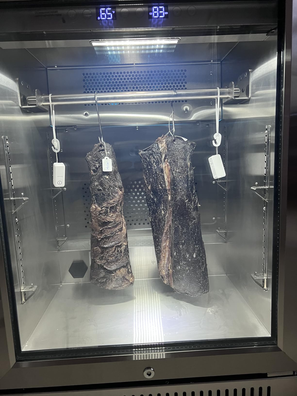 Cobalance Tankless Dry Aging Fridge for Steaks, No Water Tank Meat Ager for Ribeye, Chicken, Ham & Cheese up to 66lbs, Home Meat Ager Refrigerator, Perfect for Salami, Tender Aged Beef and Game customer photo 1