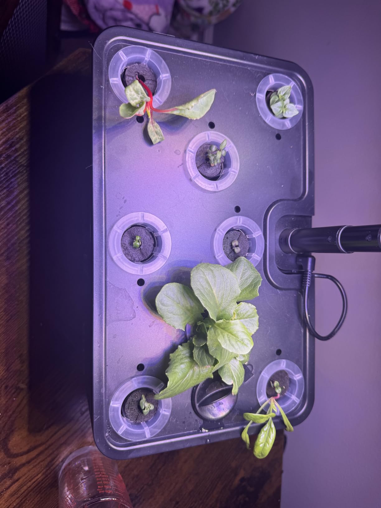 URUQ 8 Pods Hydroponics Growing System with LED Grow Light - Black customer photo 1