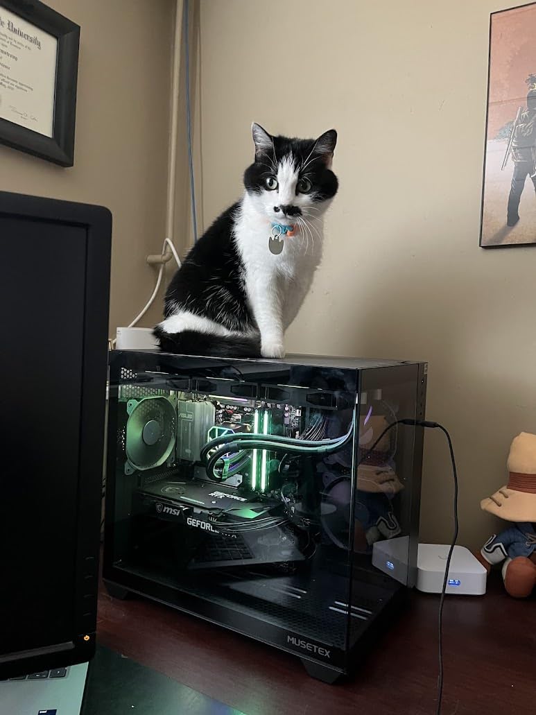 MUSETEX Y6 PC Case, Pre-Installed 4 Non-LED Fans, ATX Mid Tower Case, Computer Case with Type-C, 270 Degree Full View Tempered Glass, Black customer photo 2