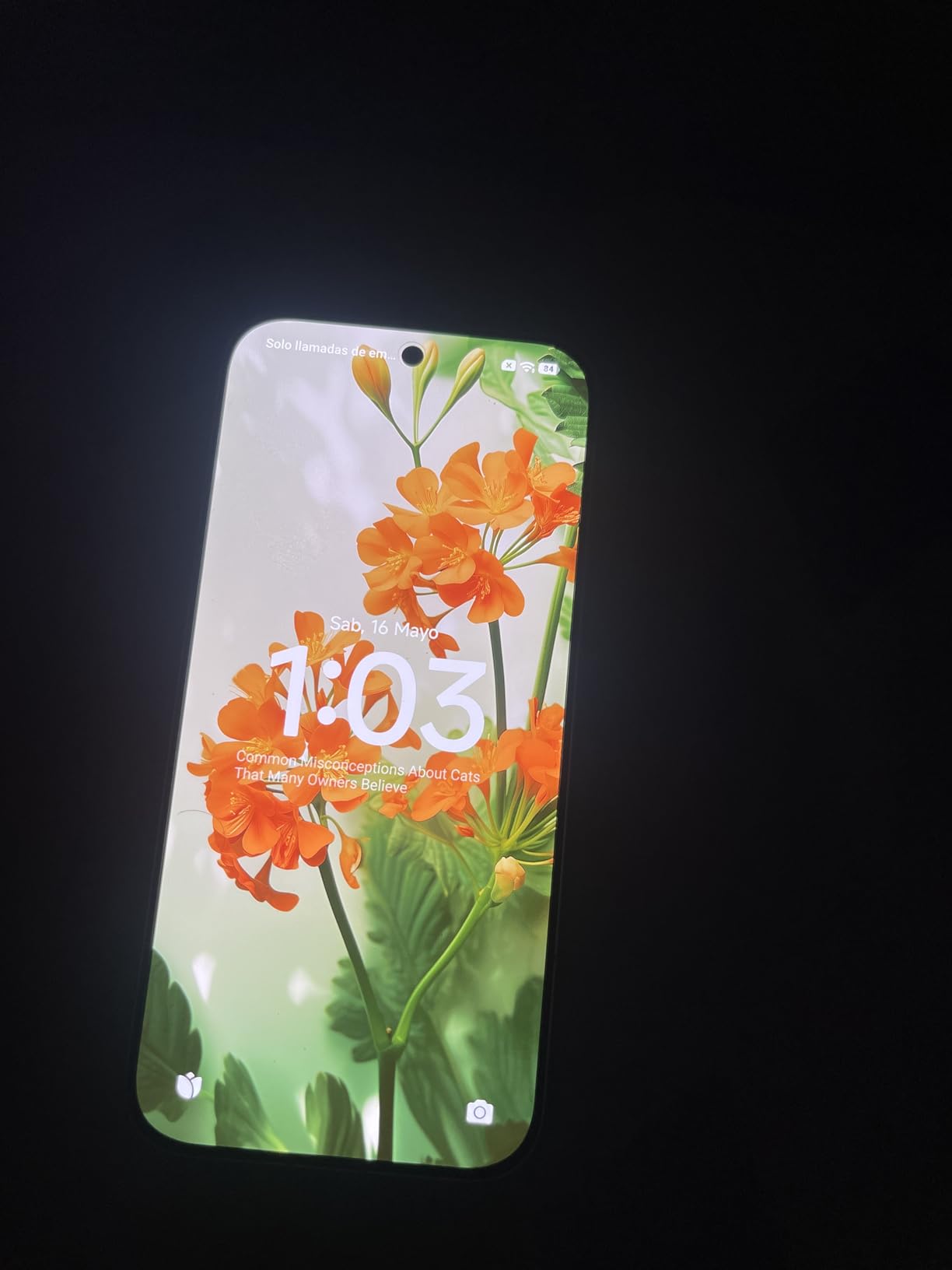 XIAOMI Poco X8 PRO 5G Ai (Compatible with Tmobile Mint Tello & Global) (512GB + 12GB) 6.59