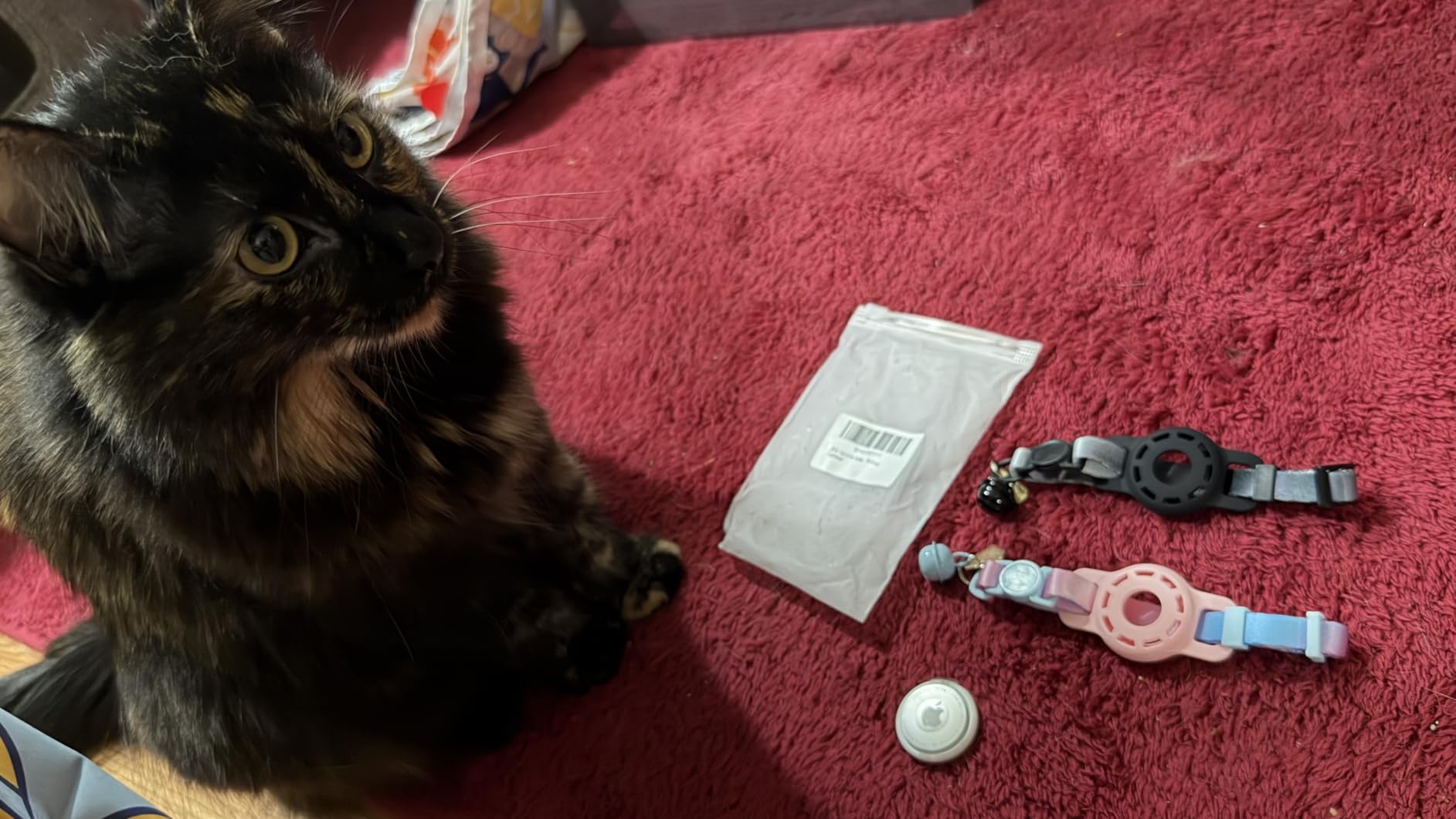 Cat Tracker GPS for Android, Pet GPS Tracker Collar for Cats No Subscription, IP67 Waterproof Cat Collar with Tracker Compatible with Google Find Hub - Replaceable 1-Year Battery, Android Only (Pink) customer photo 1