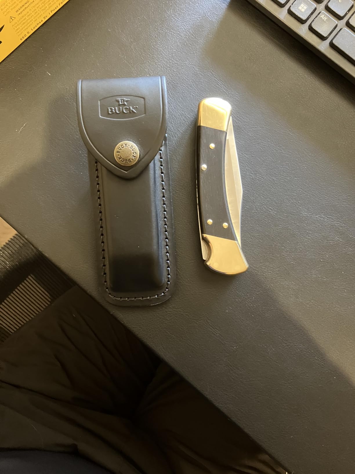 Buck Knives 110 Folding Hunter Lock-back Knife, Brass Bolsters, Ebony Handles, 3-3/4