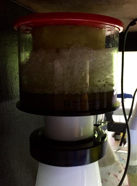 Reef Octopus Classic 150INT Protein Skimmer customer photo 1