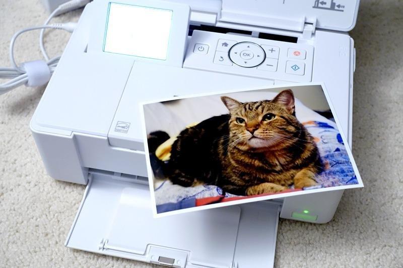 Epson PictureMate PM-400 Wireless Compact Color Photo Printer, white | Compact wireless photo printing; borderless 4 x 6 and 5 x 7 in., mobile support customer photo 1