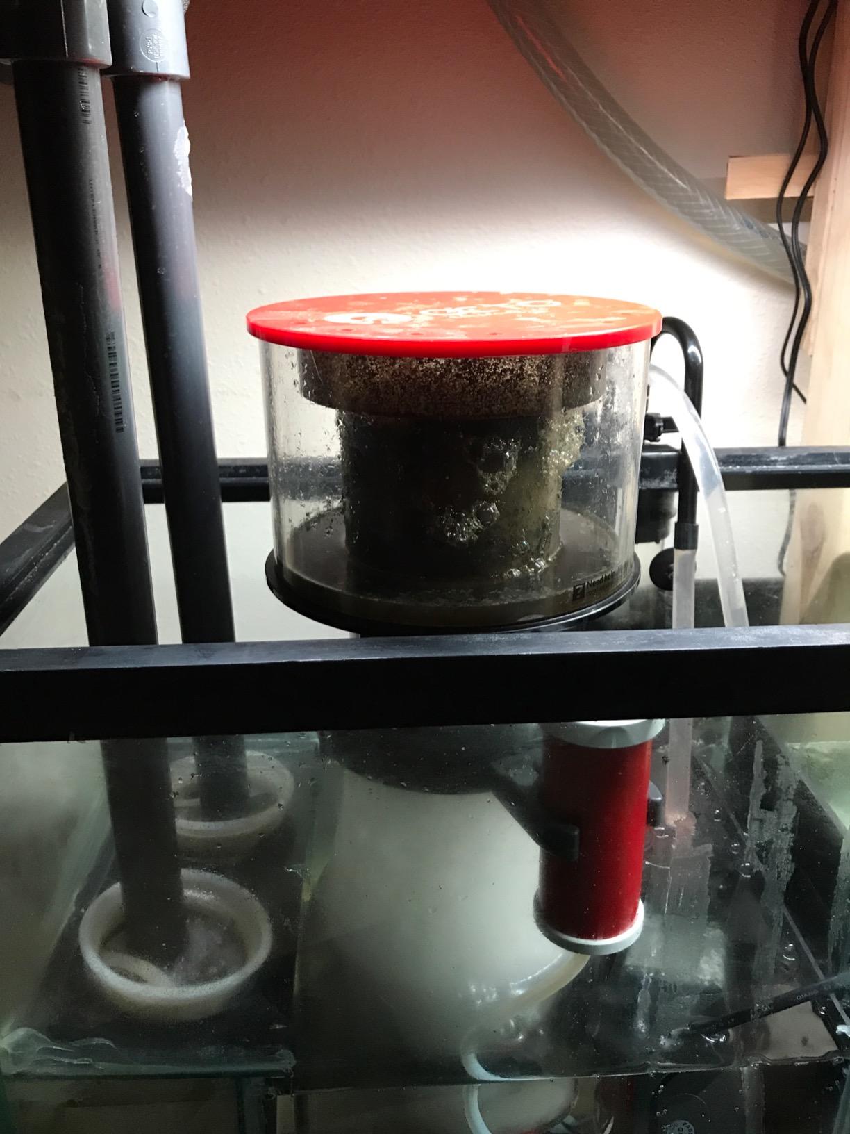 Reef Octopus Classic 202-S Protein Skimmer customer photo 1