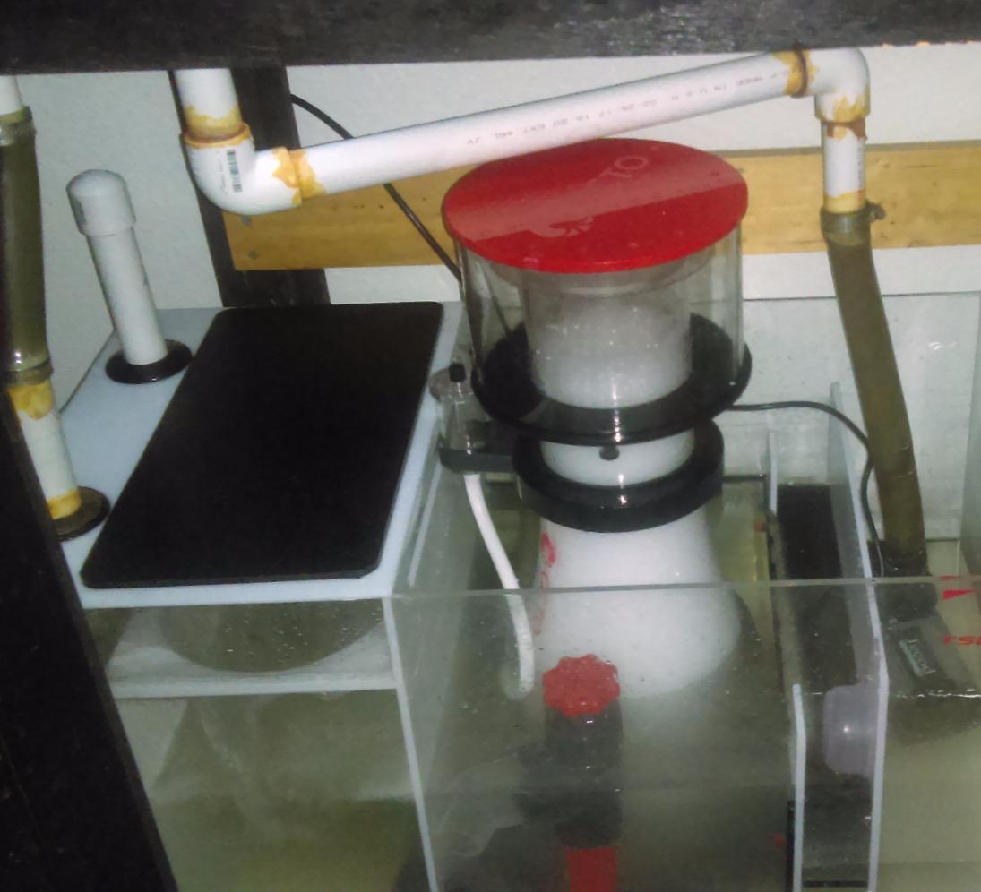 Reef Octopus Classic 202-S Protein Skimmer customer photo 2