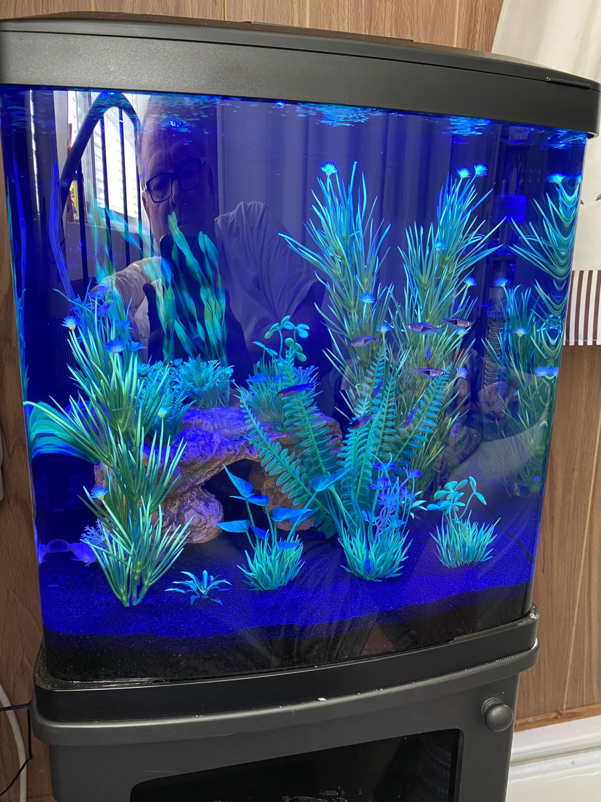 Coralife LED Biocube Aquarium Starter Kit, 16 Gallon Tank for Beginners | Start a reef tank. Cube aquarium with LED hood. Fish tank with filter, pump, 24-hour timer customer photo 2