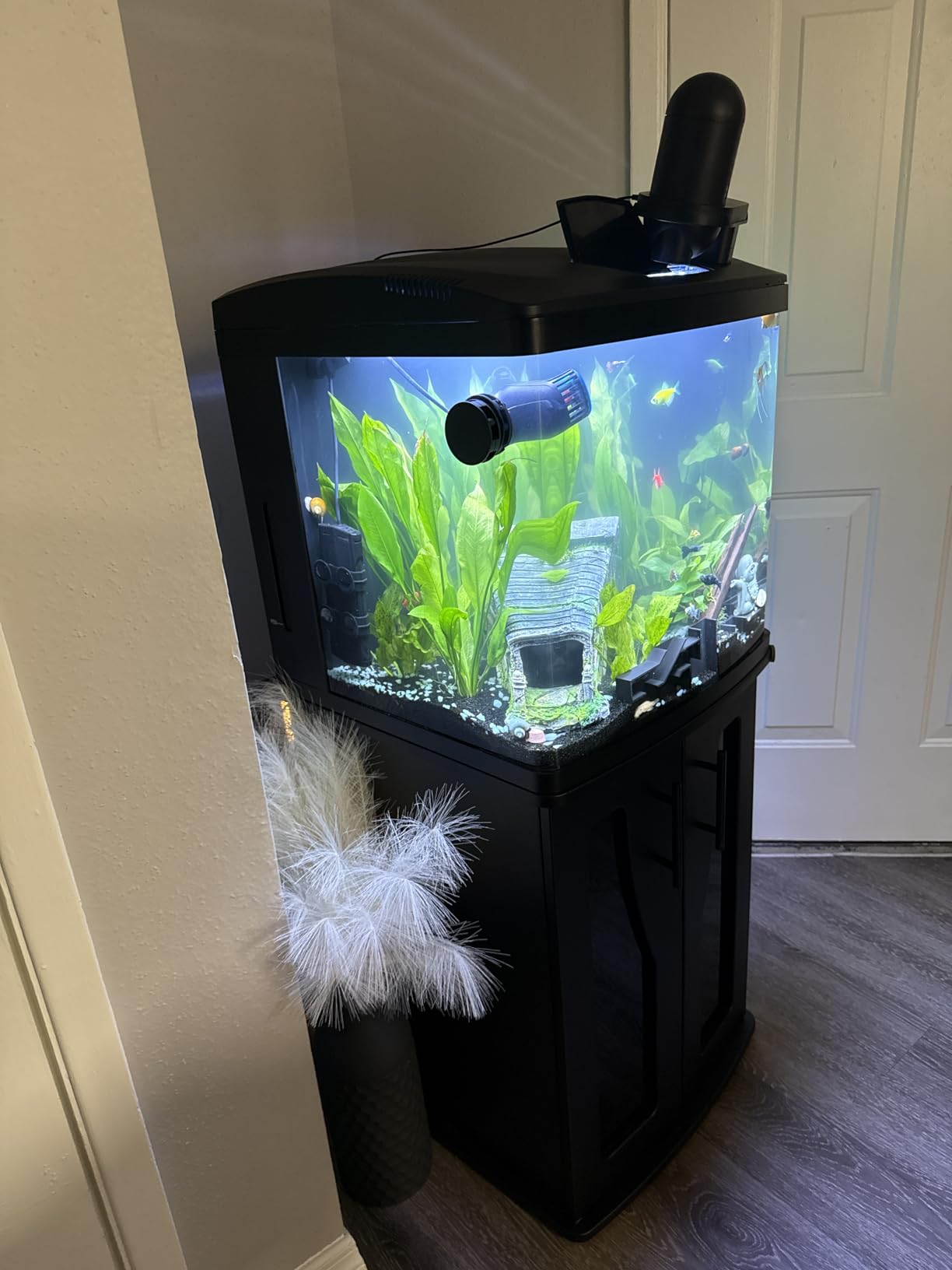 Coralife BioCube, Aquarium Kit, Integrated 24-hour Timer, Customizable LED Lighting, for Saltwater and Freshwater Environments, 32 Gallon customer photo 1