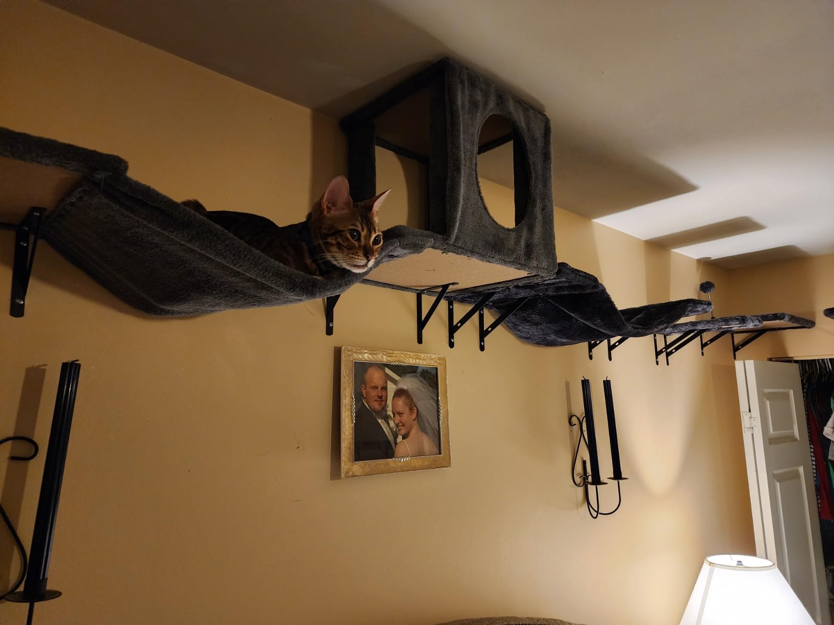 Wall-Mounted Cat Climber Set with Climbing Shelves, Perches, Bridge, Hammock, Scratching Board & Ball - 7 Pcs Wood Indoor Cat Furniture for Kittens Play (Dark Grey) customer photo 1