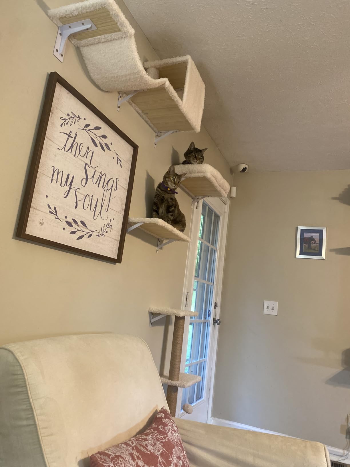 FUKUMARU Cat Wall Shelves, 4 in 1 Set, Grey | Stable & Safe Cat Walls Furniture, Wooden Kitten Climbing Wall with Scratching Post for 16 Inch Drywall customer photo 1