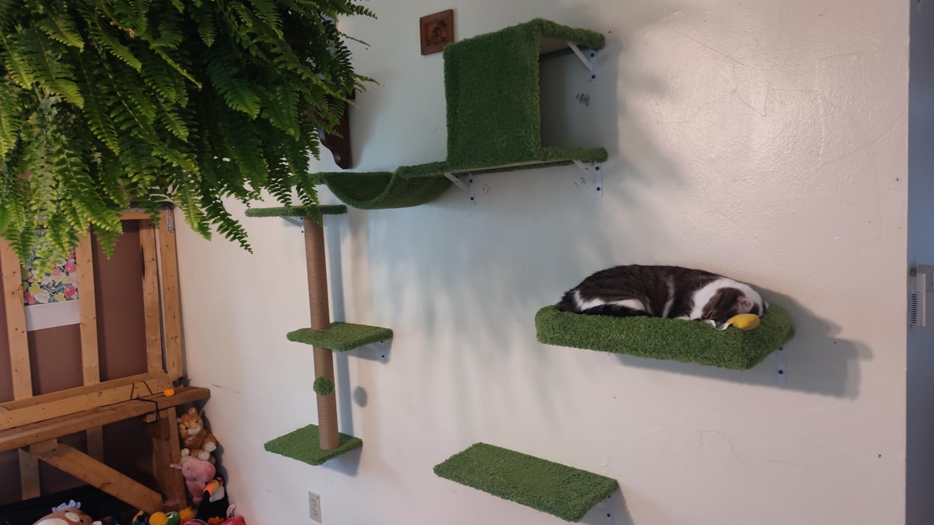 FUKUMARU Cat Wall Shelves, 4 in 1 Set, Grey | Stable & Safe Cat Walls Furniture, Wooden Kitten Climbing Wall with Scratching Post for 16 Inch Drywall customer photo 2