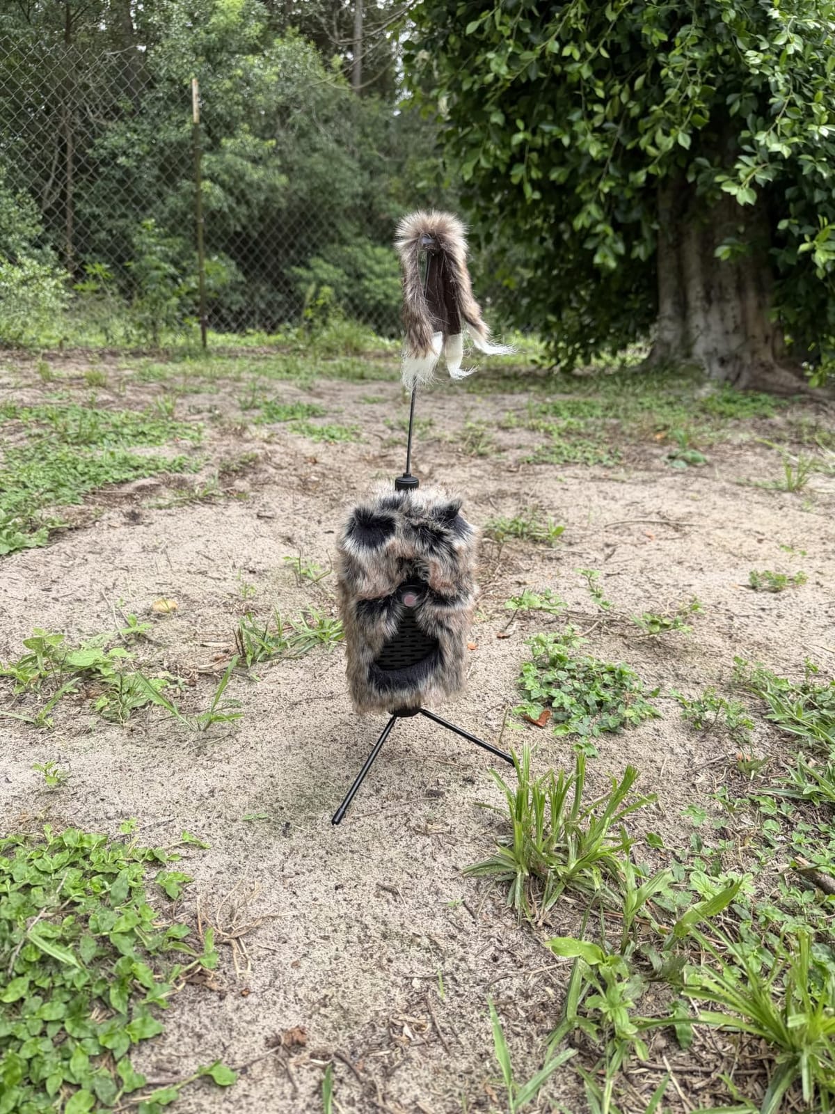 Icotec Furnado Predator Game Caller Decoy Combo - Designed for Coyote, Fox, Bobcat, Raccoon Hunting - 15 Sounds Included, 150 Yard Remote Range customer photo 2