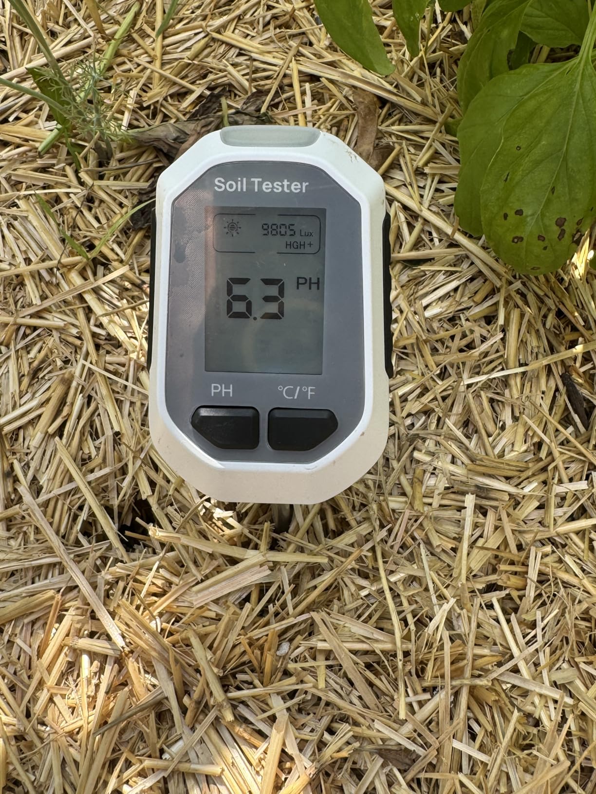 YAMRON 4-in-1 Soil Moisture Meter Digital Plant Temperature/Soil Moisture/pH Meter/Sunlight Intensity Backlight LCD Display Soil Test Meter for Gardening, Farming and Outdoor Plants customer photo 1