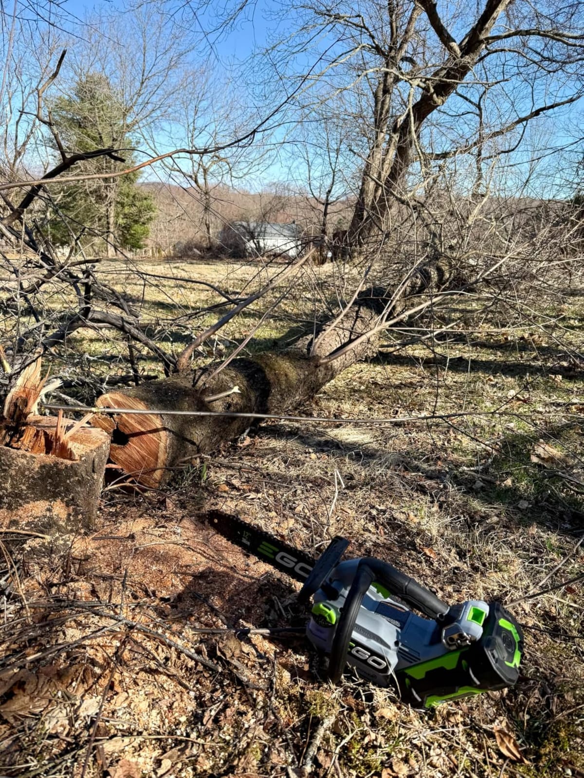 EGO POWER+ Chain Saw, 12