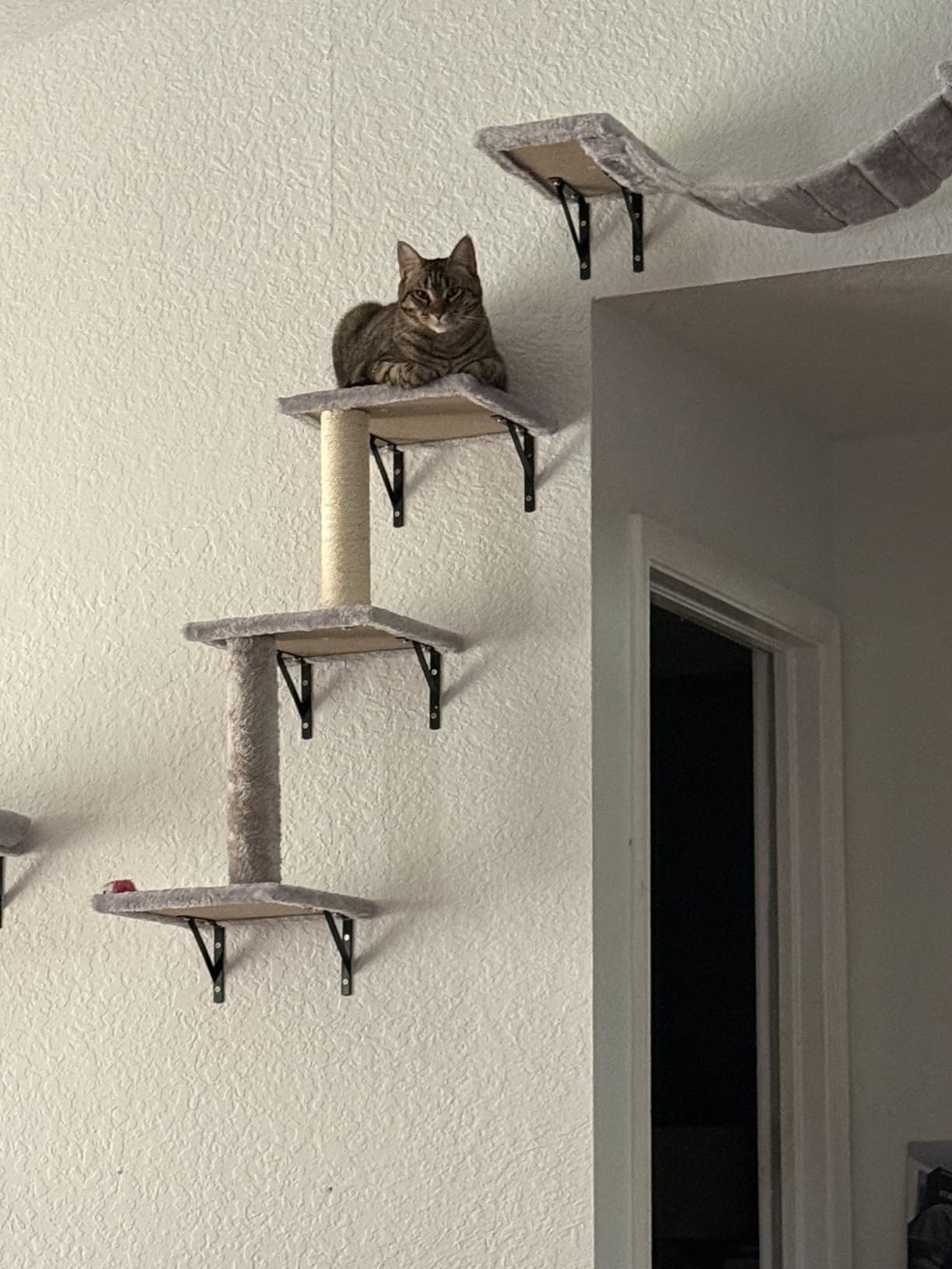 7-in-1 Cat Wall Shelves, Wall Mounted Climber Set | Cat Furniture with House, Tunnel, Bridge, Steps, Scratcher, Hammock, Shelves for Indoor, Dark Grey customer photo 1