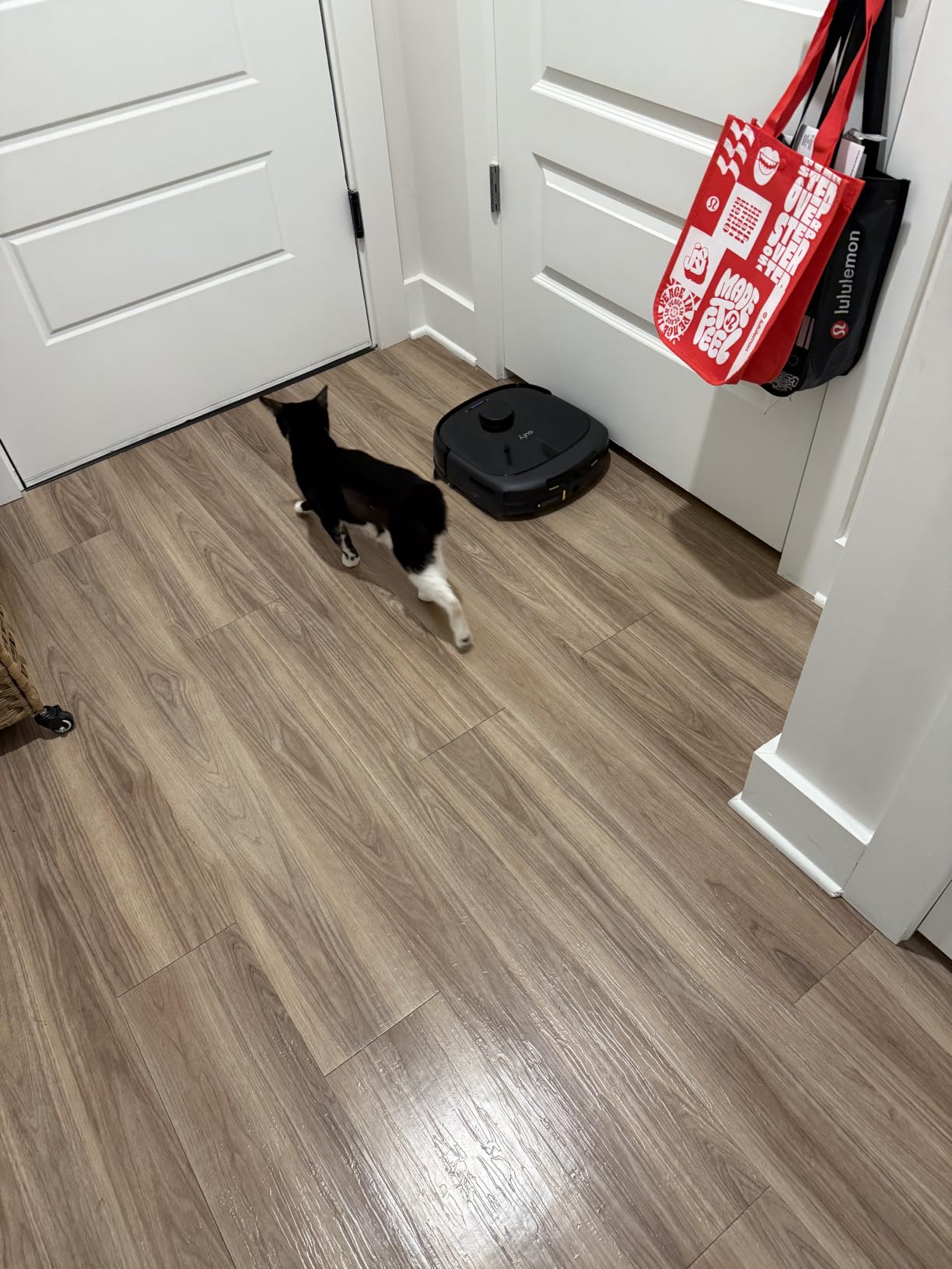eufy E25 Robot Vacuum and Mop Combo, 20,000 Pa, HydroJet Roller Mop | Extendable Side Brush, Zero-Tangle Design, All-in-One Station, AI Obstacle Avoidance, Edge-to-Corner Cleaning customer photo 1